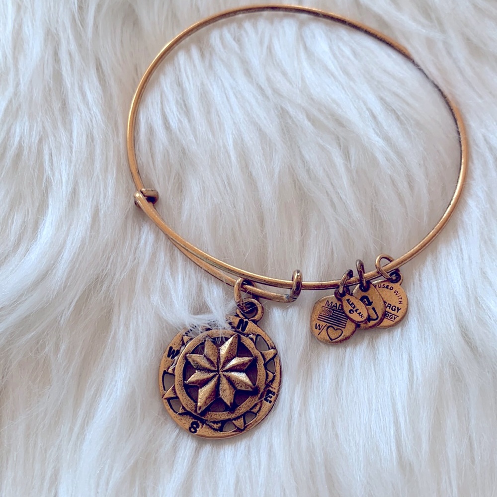Retired Alex and Ani Compass Bangle